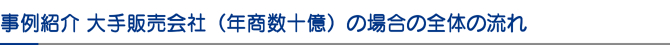 事例紹介 大手販売会社(年商数十億)の場合の全体の流れ 事例紹介 大手販売会社(年商数十億)の場合の全体の流れ